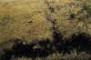 a-06-a5.jpg (103655 Ӧ줸)